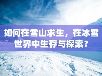 如何在雪山求生，在冰雪世界中生存與探索？