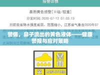 警惕，鼻子流出的黃色液體——健康警報與應對策略