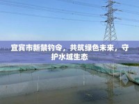 宜賓市新禁釣令，共筑綠色未來(lái)，守護(hù)水域生態(tài)