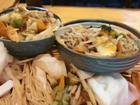 80級紫燕如何逆天改命？屬性加點、培養(yǎng)技巧與實戰(zhàn)心得全解析！