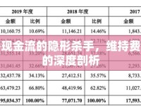 凈現(xiàn)金流的隱形殺手，維持費(fèi)用的深度剖析