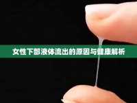 女性下部液體流出的原因與健康解析