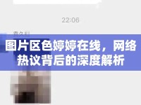 圖片區(qū)色婷婷在線，網(wǎng)絡熱議背后的深度解析