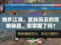 獨步江湖，武林風(fēng)云的攻略秘籍，你掌握了嗎？