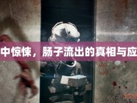 腹中驚悚，腸子流出的真相與應(yīng)對(duì)