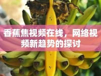香蕉焦視頻在線，網(wǎng)絡(luò)視頻新趨勢(shì)的探討