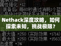 Nethack深度攻略，如何探索未知，挑戰(zhàn)極限？