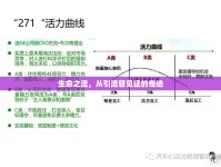 生命之流，從引流管見證的奇跡