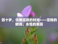 四十歲，優(yōu)雅綻放的時光——定格的瞬間，永恒的美麗