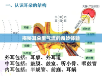 揭秘耳朵里氣流的奇妙體驗