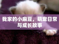我家的小麻豆，萌寵日常與成長(zhǎng)故事