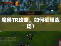 魔獸TR攻略，如何征服戰(zhàn)場？