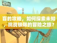 盲的攻略，如何探索未知，挑戰(zhàn)極限的冒險(xiǎn)之旅？