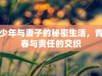 少年與妻子的秘密生活，青春與責(zé)任的交織