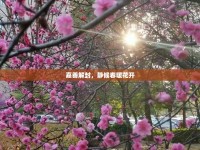 嘉善解封，靜候春暖花開