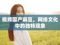 視頻國產麻豆，網絡文化中的獨特現(xiàn)象