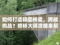 如何打造穩(wěn)固橋梁，跨越挑戰(zhàn)？修橋大師攻略來(lái)幫你！