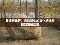 天津皂角坪，古韻新生的文化地標(biāo)與最新發(fā)展動(dòng)態(tài)