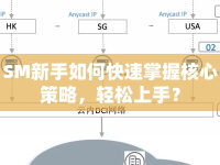 SM新手如何快速掌握核心策略，輕松上手？
