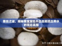 蠶絲之謎，揭秘蠶寶寶吐不出絲卻流出黃水的背后真相