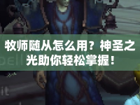 牧師隨從怎么用？神圣之光助你輕松掌握！