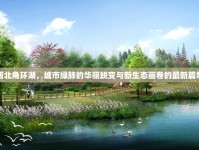 西北角環(huán)湖，城市綠肺的華麗蛻變與新生態(tài)畫卷的最新篇章