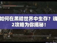 如何在黑暗世界中生存？魂2攻略為你揭秘！