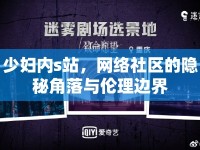 少婦內(nèi)s站，網(wǎng)絡(luò)社區(qū)的隱秘角落與倫理邊界