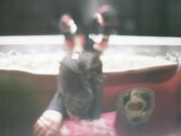 夢幻手游中，煙花愛字能否成為你的浪漫詩篇？