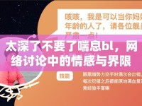 太深了不要了喘息bl，網(wǎng)絡(luò)討論中的情感與界限