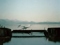 誅仙手游60級(jí)后如何飛速升級(jí)與暴漲戰(zhàn)力？