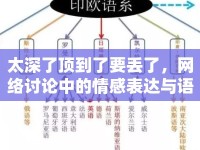 太深了頂?shù)搅艘獊G了，網(wǎng)絡(luò)討論中的情感表達(dá)與語(yǔ)言演變
