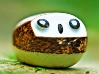 賽爾號(hào)經(jīng)驗(yàn)Bug引發(fā)爭(zhēng)議，官方這次會(huì)如何回應(yīng)玩家怒火？，結(jié)合了用戶提供的關(guān)鍵點(diǎn)（經(jīng)驗(yàn)Bug、玩家熱議、官方應(yīng)對(duì)），同時(shí)通過(guò)疑問形式制造懸念，吸引用戶點(diǎn)擊了解詳情。