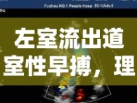 左室流出道室性早搏，理解、挑戰(zhàn)與治療的新視角