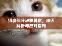 貓鼻部分泌物異常，原因解析與應(yīng)對措施