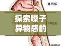 探索嗓子異物感的背后，應(yīng)對(duì)策略與科學(xué)解析