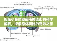 按壓小腹時腿間液體流出的科學解析，探索身體奧秘的奇妙之旅