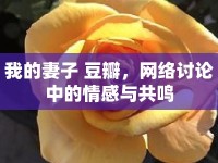 我的妻子 豆瓣，網(wǎng)絡(luò)討論中的情感與共鳴