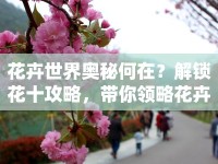 花卉世界奧秘何在？解鎖花十攻略，帶你領(lǐng)略花卉世界的魅力！