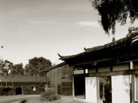 你能在刀劍亂舞中喚醒沉睡百年的武士之魂嗎？