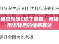 我早就想C你了妹妹，網(wǎng)絡(luò)用語背后的情感表達(dá)
