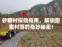 砂糖村探險(xiǎn)指南，解鎖甜蜜村落的奇妙秘密！