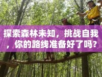 探索森林未知，挑戰(zhàn)自我，你的路線(xiàn)準(zhǔn)備好了嗎？