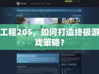 工程205，如何打造終極游戲策略？