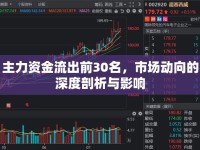 主力資金流出前30名，市場動向的深度剖析與影響