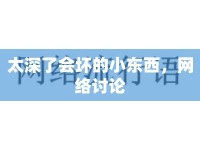 太深了會壞的小東西，網(wǎng)絡(luò)討論
