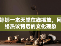 婷婷一本天堂在線播放，網(wǎng)絡(luò)熱議背后的文化現(xiàn)象