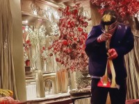 尋仙手游寵物變異之旅，神秘變異事件即將發(fā)生？