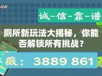 廁所新玩法大揭秘，你能否解鎖所有挑戰(zhàn)？