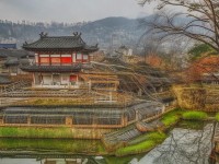 夢幻手游新區(qū)囤貨如何賺翻天？策略與技巧全解析！